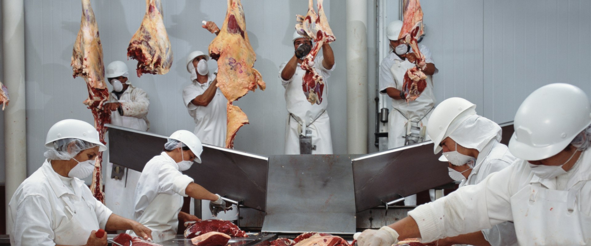 Ensuring Food Safety in Livestock Products: Best Practices for Effective Management
