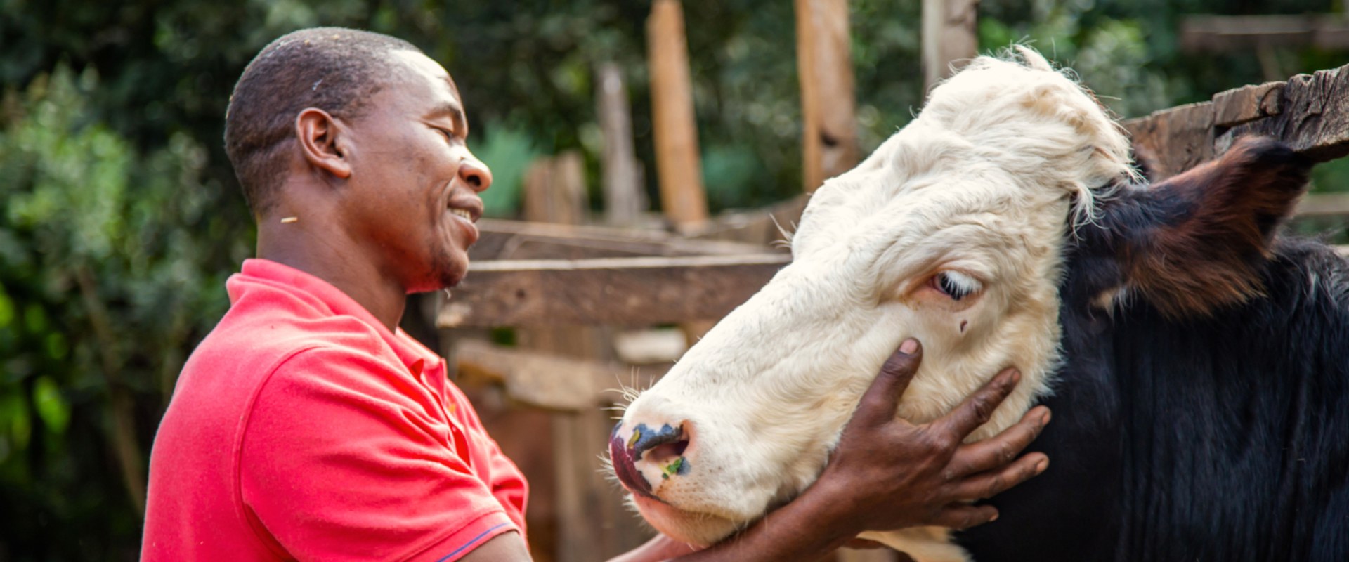 Essential Practices for Effective Livestock Management and Animal Well-Being