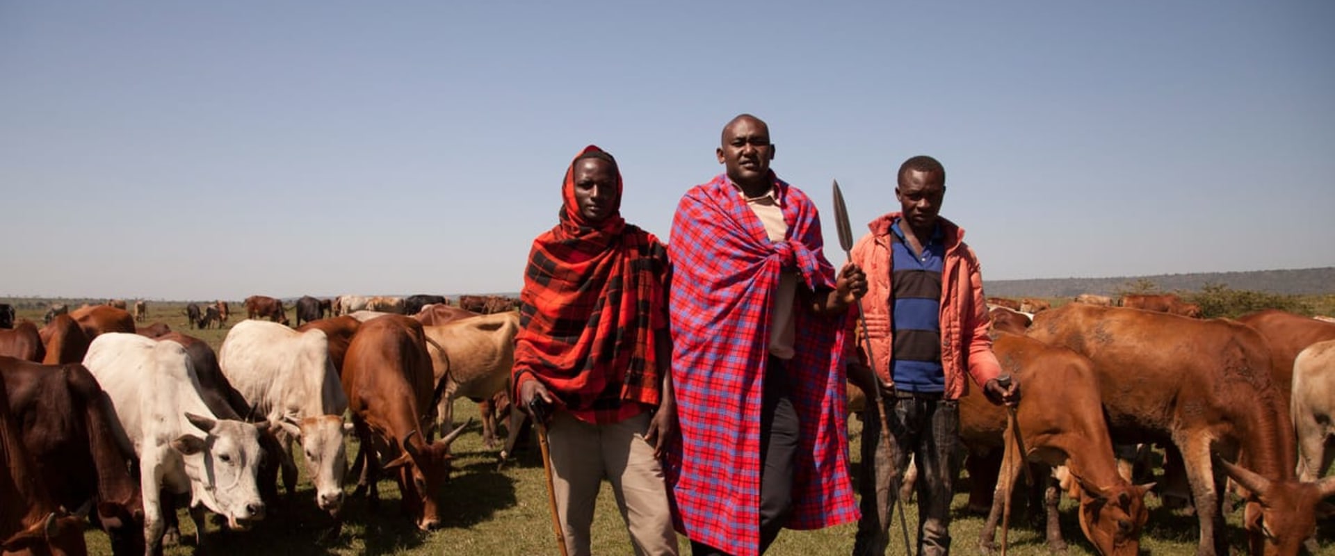 Understanding Livestock Management: Best Practices and Strategies