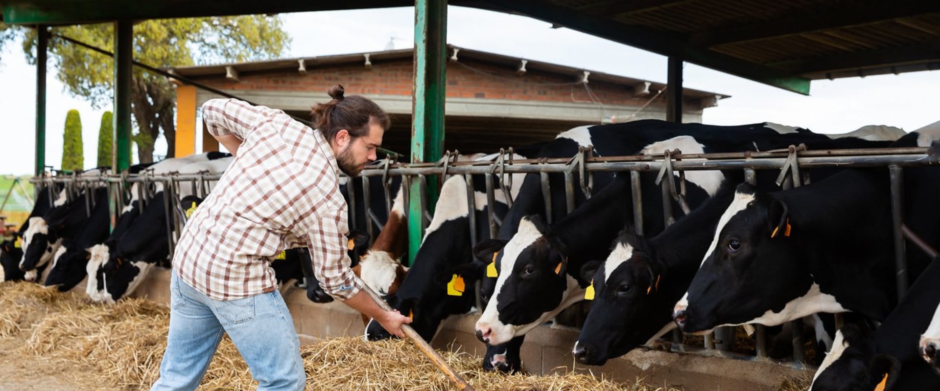 Effective Marketing Strategies for Livestock Products in Modern Agriculture