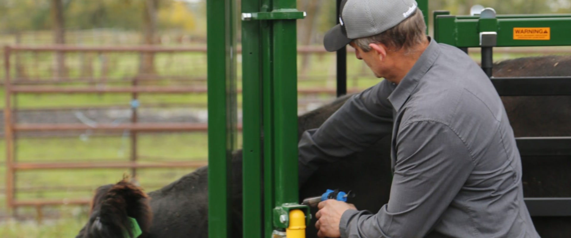 Understanding Common Health Issues in Livestock and Their Treatments