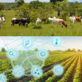 Integrating Technology and Innovation in Livestock Management for Enhanced Productivity