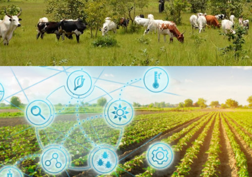 Navigating Climate Change: Strategies for Effective Livestock Management