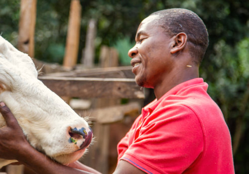 Essential Practices for Effective Livestock Management and Animal Well-Being