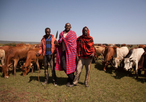 Understanding Livestock Management: Best Practices and Strategies