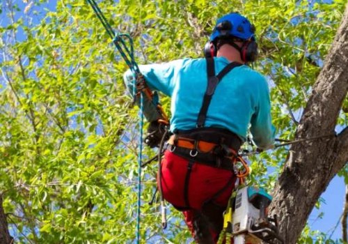 Protect Your Livestock: Emergency Tree Services in Virginia Beach