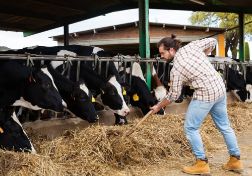 Effective Marketing Strategies for Livestock Products in Modern Agriculture