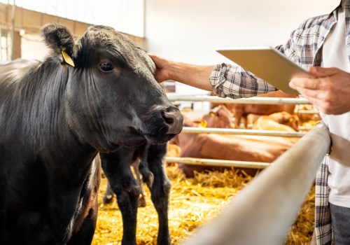 Essential Strategies for Maintaining Biosecurity in Livestock Facilities